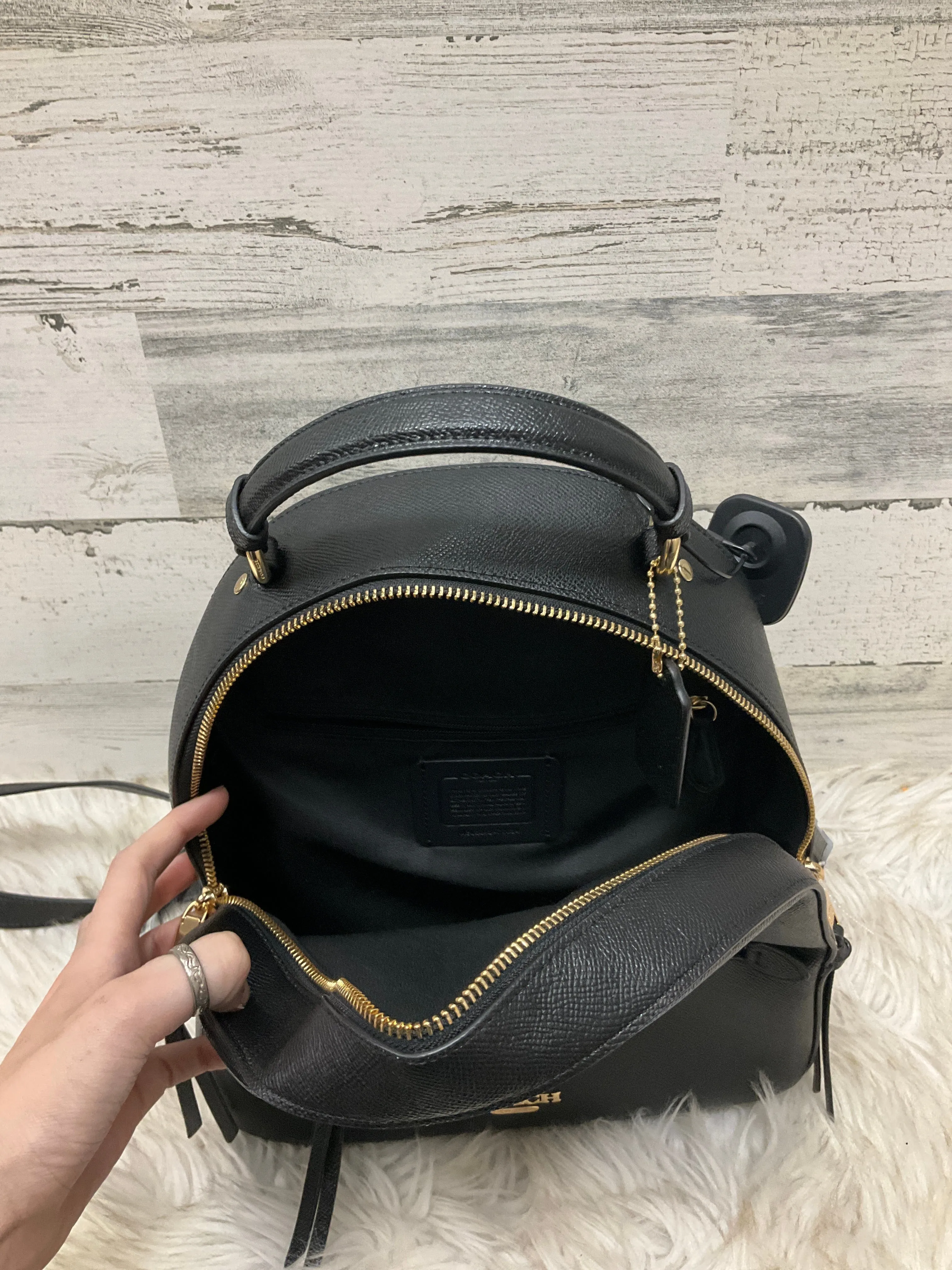Backpack Designer By Coach  Size: Medium