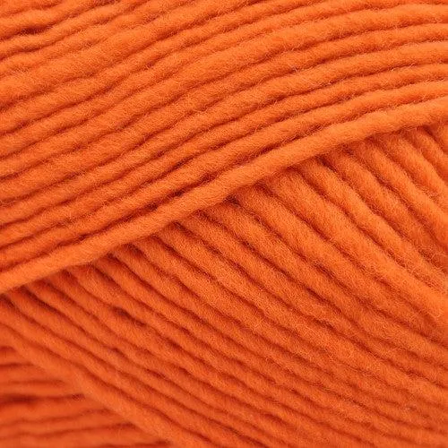 Lanaloft Worsted Weight Yarn | 160 Yards | 100% Wool