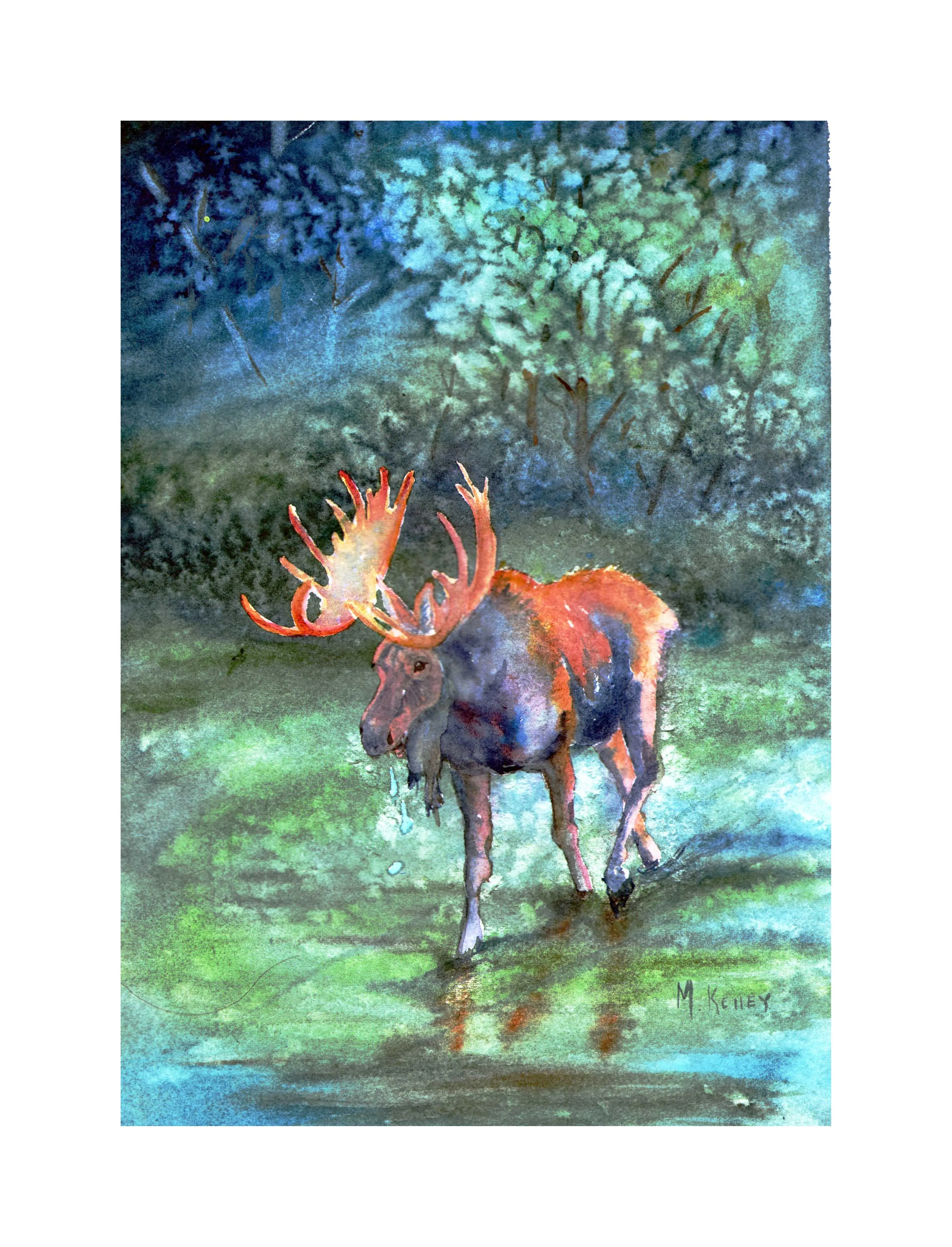 Summer Sanctuary Print